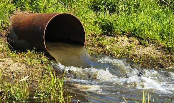 contaminación, rosario, info341, medioambiente, ecología