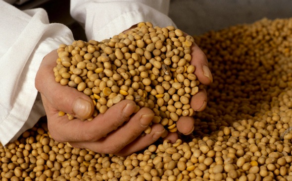 soja, fondo sojero, santa fe, info341, rutas, retenciones